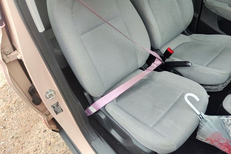 Used Leapmotor T03 2021 400 Micro-Sugar Version Right Front Seat