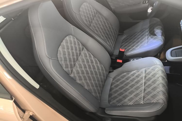 Used Leapmotor T03 2021 400 Luxury Pro Edition Right Front Seat