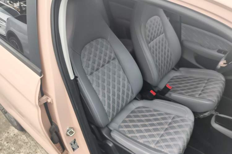 Used Leapmotor T03 2021 400 Luxury Pro Edition Right Front Seat