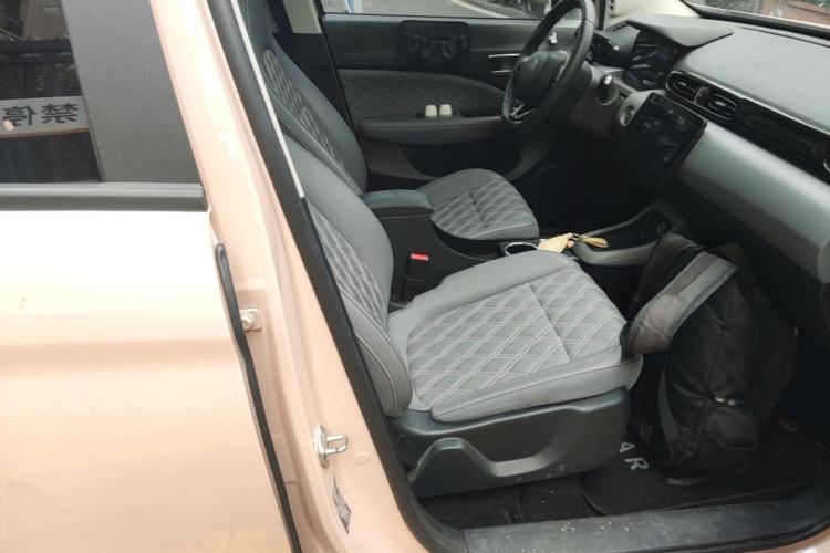 Used Leapmotor T03 2021 400 Luxury Edition Right Front Seat