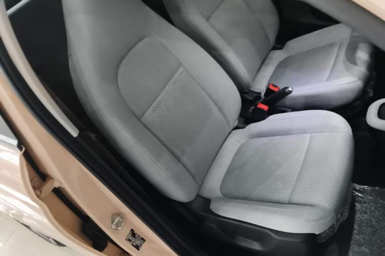 Used Leapmotor T03 2021 400 Micro-Sugar Version Right Front Seat