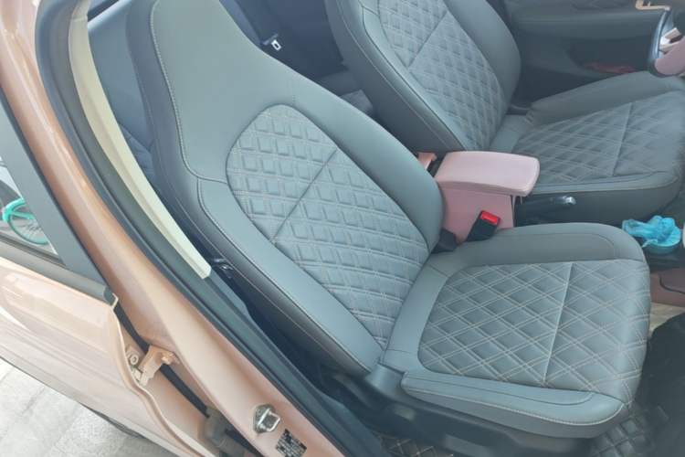 Used Leapmotor T03 2021 400 Comfort Edition Right Front Seat