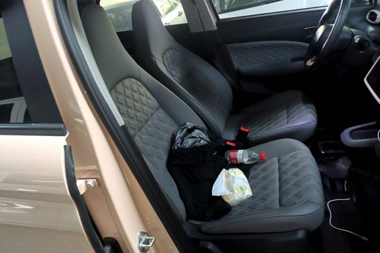 Used Leapmotor T03 2021 400 Luxury Edition Right Front Seat