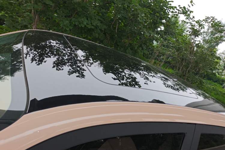 Used Leapmotor T03 2021 400 Luxury Edition Roof