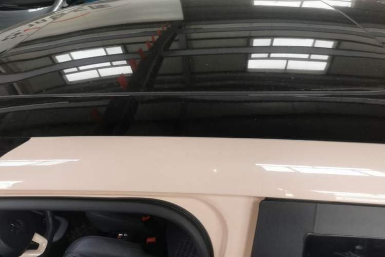 Used Leapmotor T03 2021 400 Luxury Edition Roof