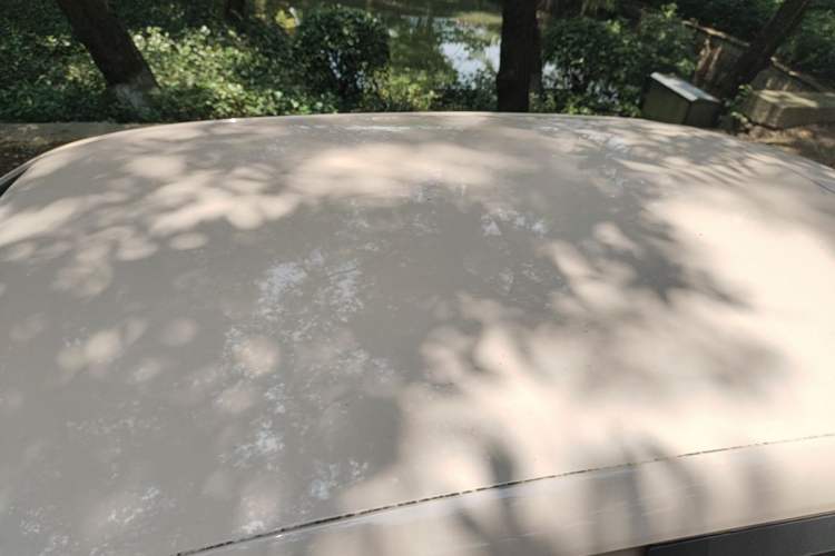 Used Leapmotor T03 2021 400 Micro-Sugar Version Roof