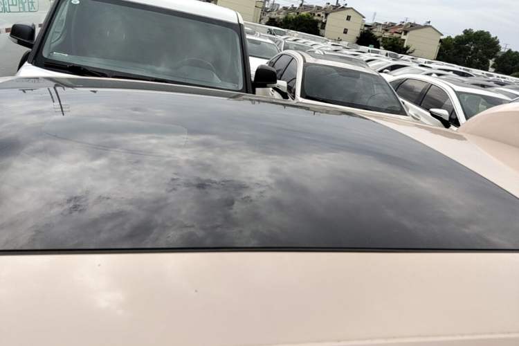 Used Leapmotor T03 2021 400 Comfort Edition Roof