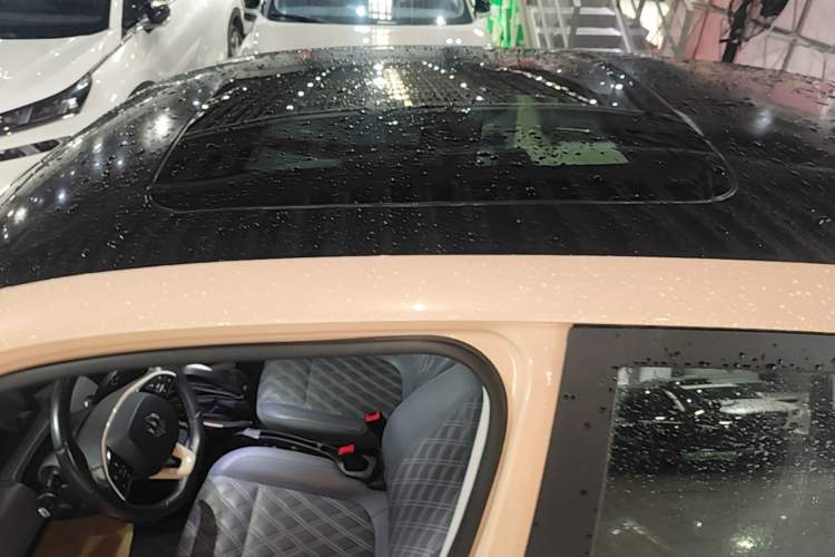 Used Leapmotor T03 2021 400 Luxury Edition Roof
