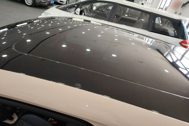 Used Leapmotor T03 2021 400 Luxury Edition Roof