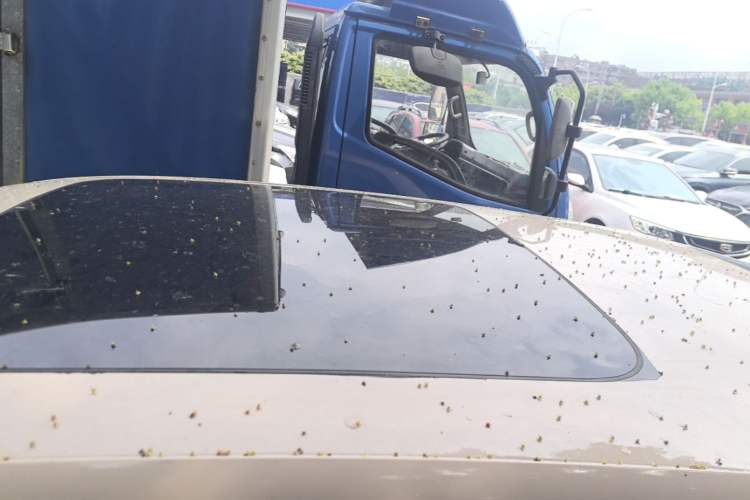 Used Leapmotor T03 2021 400 Comfort Edition Roof