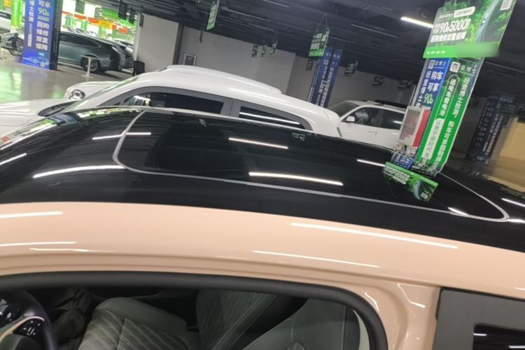 Used Leapmotor T03 2021 400 Luxury Pro Edition Roof