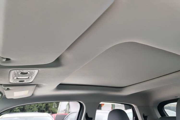 Used Leapmotor T03 2021 400 Luxury Pro Edition Headliner