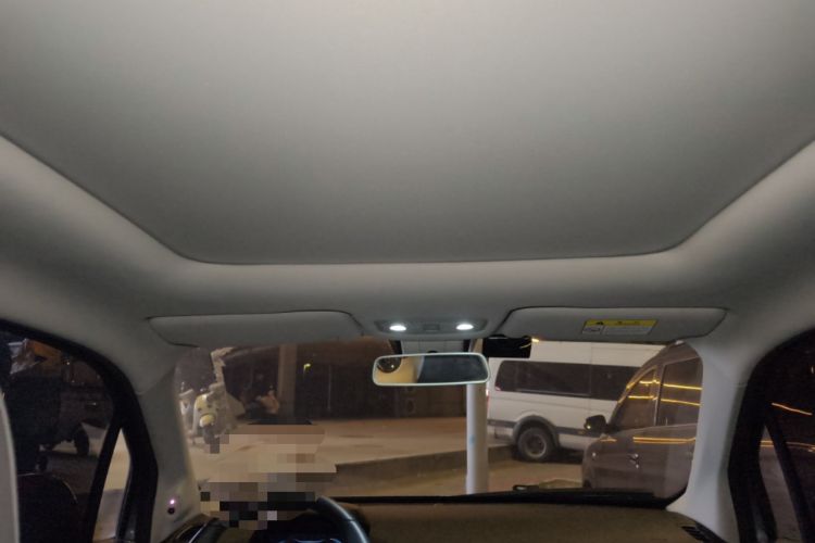 Used Leapmotor T03 2021 400 Luxury Edition Headliner