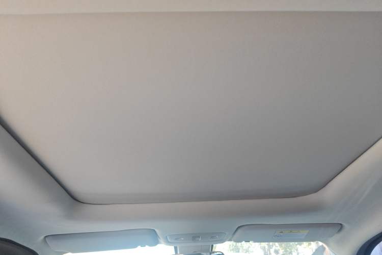 Used Leapmotor T03 2021 400 Luxury Pro Edition Headliner