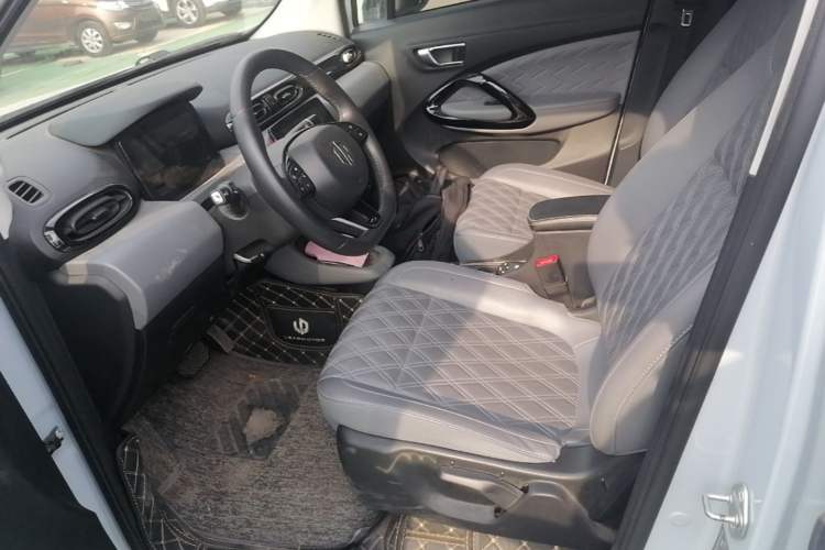 Used Leapmotor T03 2021 400 Luxury Pro Edition Left Front Seat
