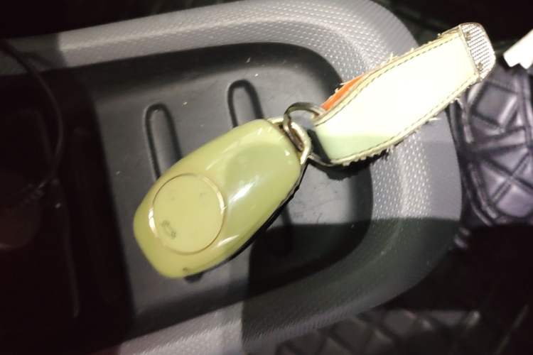 Used Leapmotor T03 2021 400 Lite Edition - Lithium-Ion Battery Vehicle Key