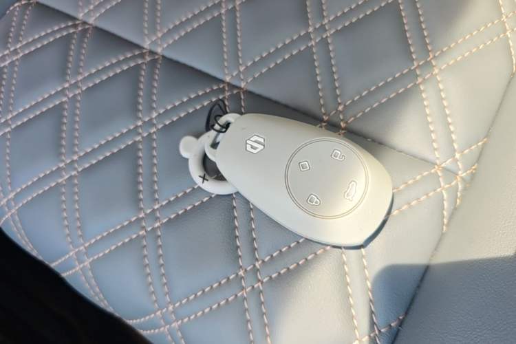 Used Leapmotor T03 2021 400 Luxury Pro Edition Vehicle Key