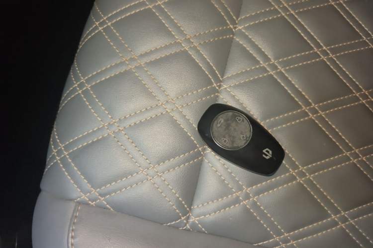 Used Leapmotor T03 2021 400 Luxury Pro Edition Vehicle Key