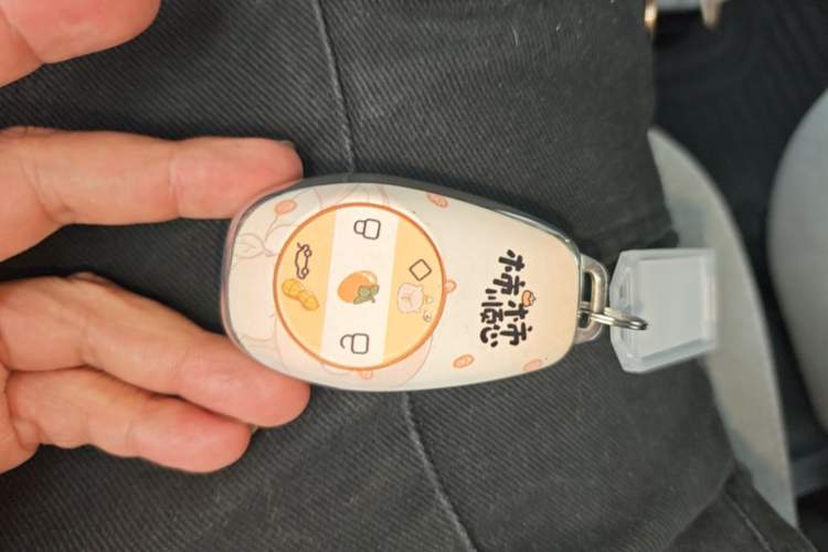 Used Leapmotor T03 2021 400 Micro-Sugar Version Vehicle Key