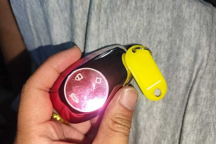 Used Leapmotor T03 2021 400 Luxury Edition Vehicle Key