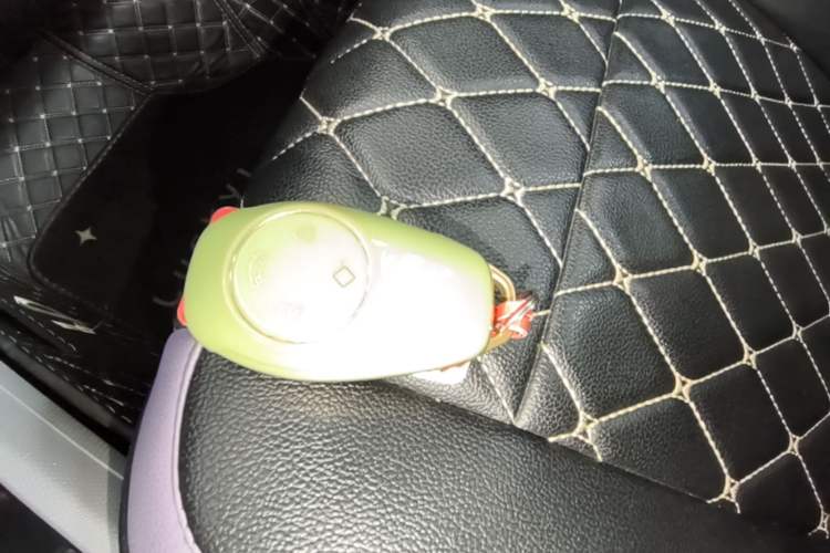 Used Leapmotor T03 2021 400 Micro-Sugar Version Vehicle Key
