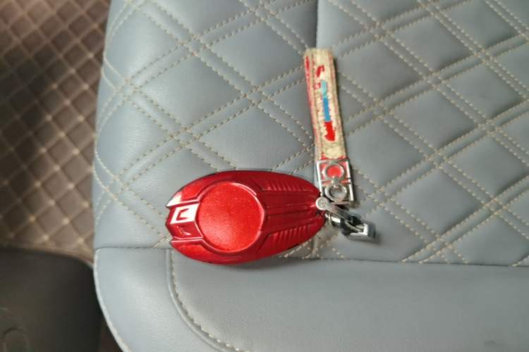 Used Leapmotor T03 2021 400 Luxury Edition Vehicle Key