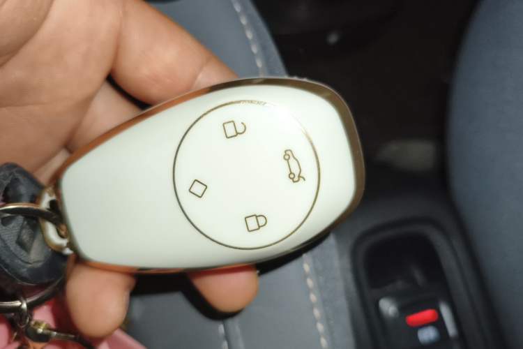 Used Leapmotor T03 2021 400 Luxury Edition Vehicle Key
