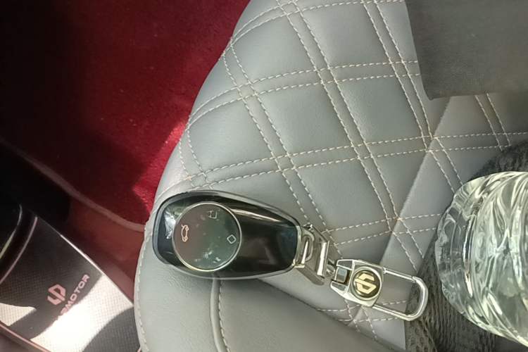 Used Leapmotor T03 2021 400 Comfort Edition Vehicle Key