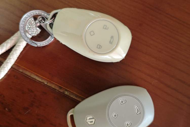Used Leapmotor T03 2021 400 Comfort Edition Vehicle Key