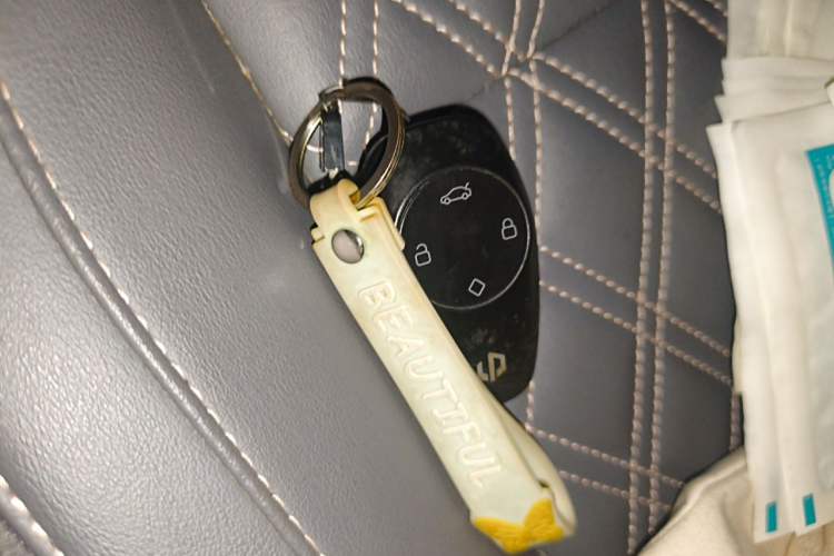 Used Leapmotor T03 2021 400 Comfort Edition Vehicle Key