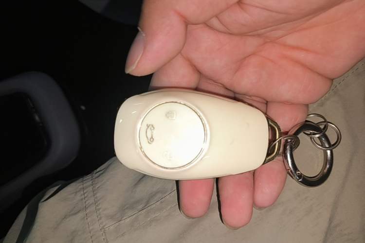 Used Leapmotor T03 2021 400 Luxury Pro Edition Vehicle Key
