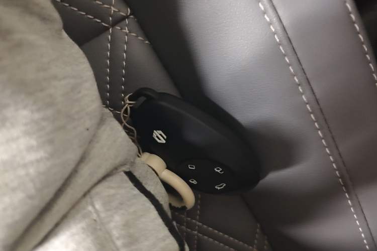 Used Leapmotor T03 2021 400 Luxury Edition Vehicle Key
