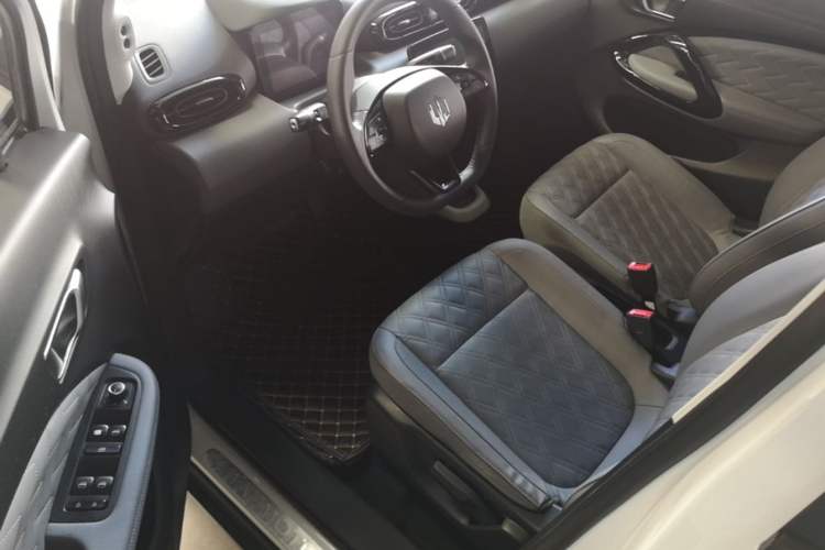 Used Leapmotor T03 2021 400 Luxury Edition Driver Seat