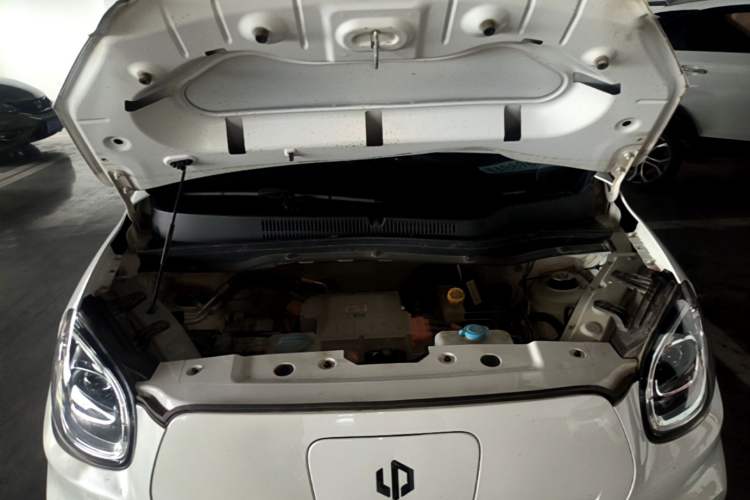 Used Leapmotor T03 2021 400 Lite Edition Lithium Iron Phosphate Engine Bay