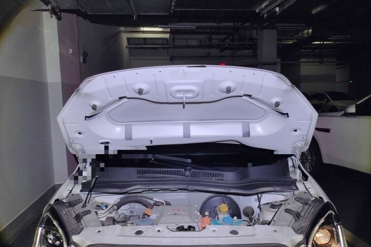 Used Leapmotor T03 2021 400 Lite Edition Lithium Iron Phosphate Engine Bay