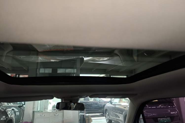 Used Leapmotor T03 2021 400 Luxury Edition Headliner