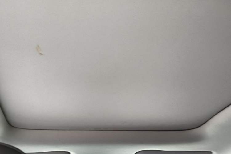 Used Leapmotor T03 2021 400 Luxury Edition Headliner