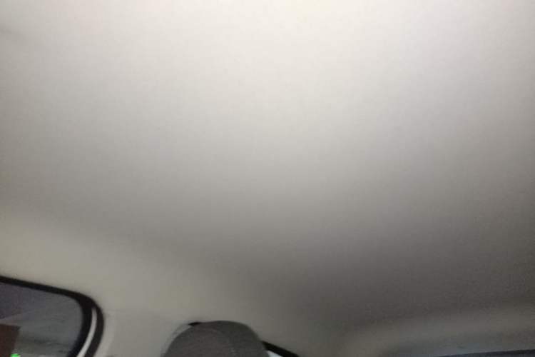 Used Leapmotor T03 2021 400 Lite Edition Lithium Iron Phosphate Headliner