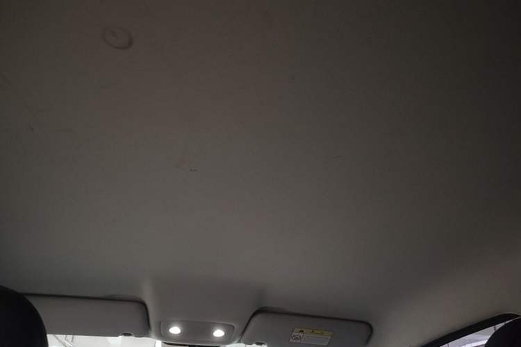 Used Leapmotor T03 2021 400 Micro-Sugar Version Headliner