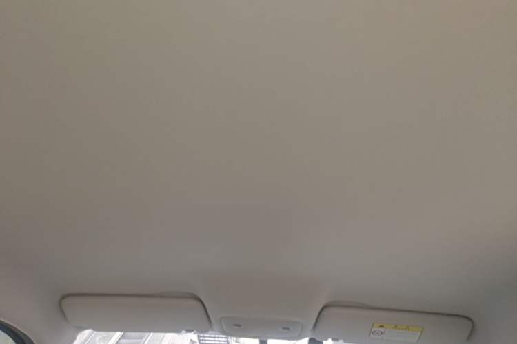 Used Leapmotor T03 2021 400 Lite Edition - Lithium-Ion Battery Headliner
