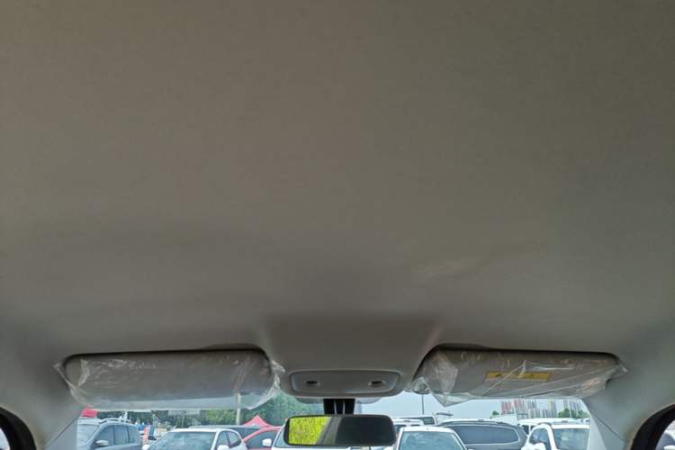Used Leapmotor T03 2021 400 Lite Edition Lithium Iron Phosphate Headliner