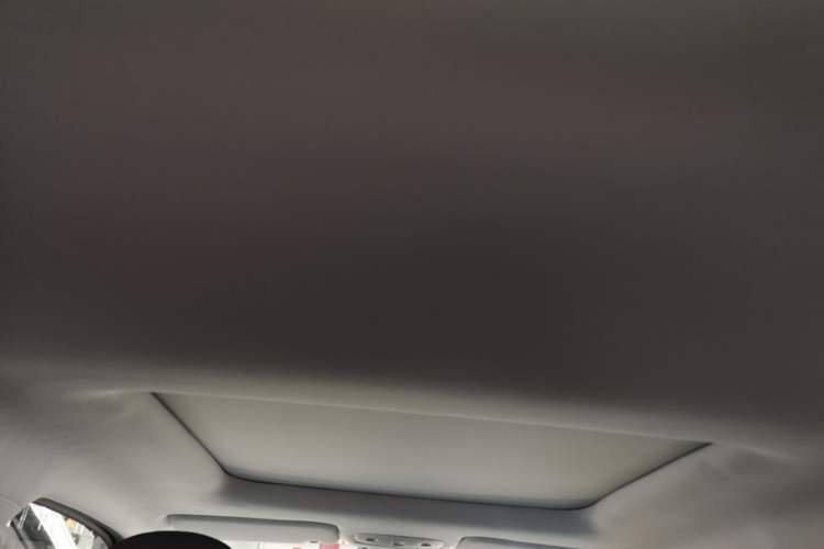 Used Leapmotor T03 2021 400 Luxury Edition Headliner