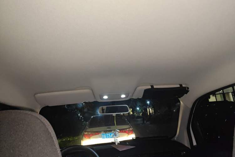 Used Leapmotor T03 2021 400 Lite Edition - Lithium-Ion Battery Headliner