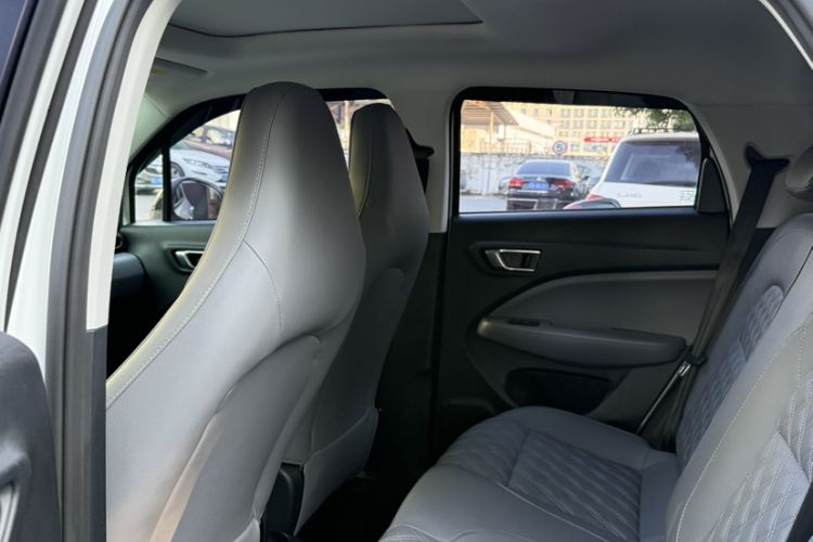 Used Leapmotor T03 2021 400 Luxury Edition Headliner