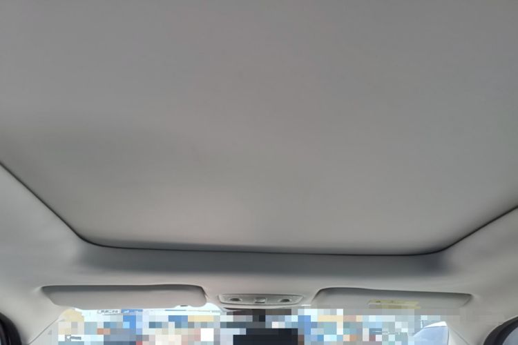 Used Leapmotor T03 2021 400 Comfort Edition Headliner