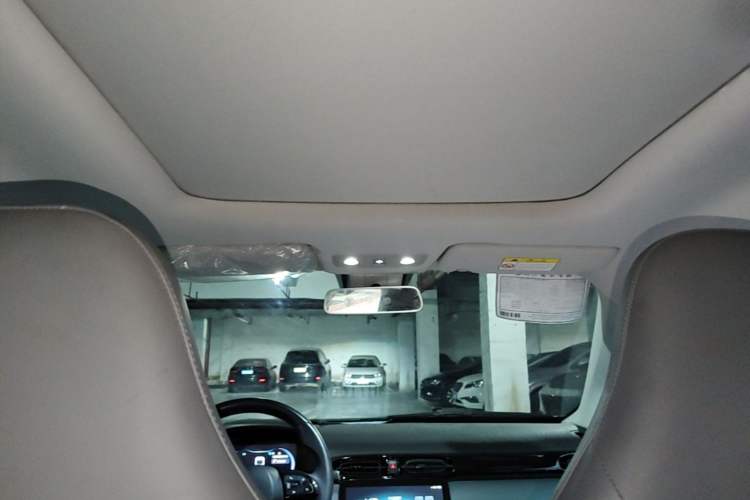 Used Leapmotor T03 2021 400 Luxury Edition Headliner