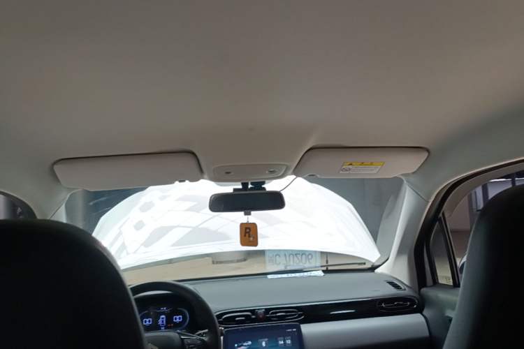 Used Leapmotor T03 2021 400 Lite Edition Lithium Iron Phosphate Headliner