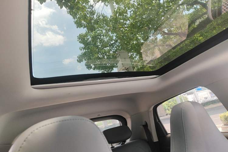 Used Leapmotor T03 2021 400 Luxury Edition Headliner