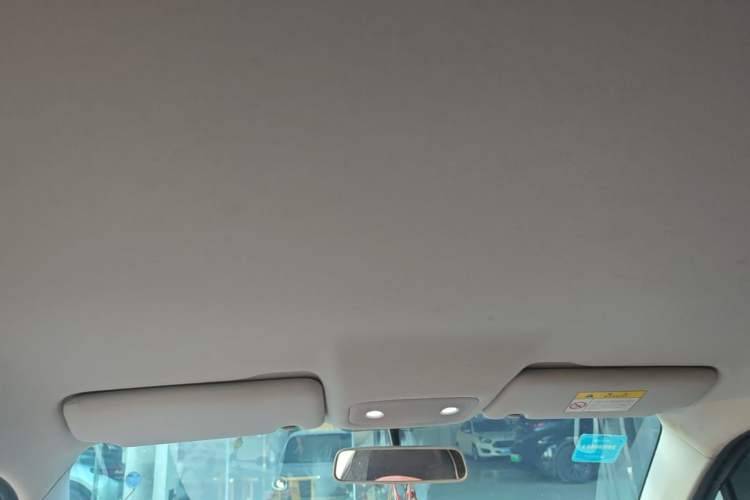 Used Leapmotor T03 2021 400 Lite Edition - Lithium-Ion Battery Headliner
