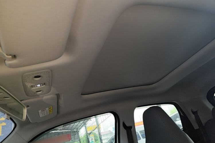 Used Leapmotor T03 2021 400 Luxury Pro Edition Headliner